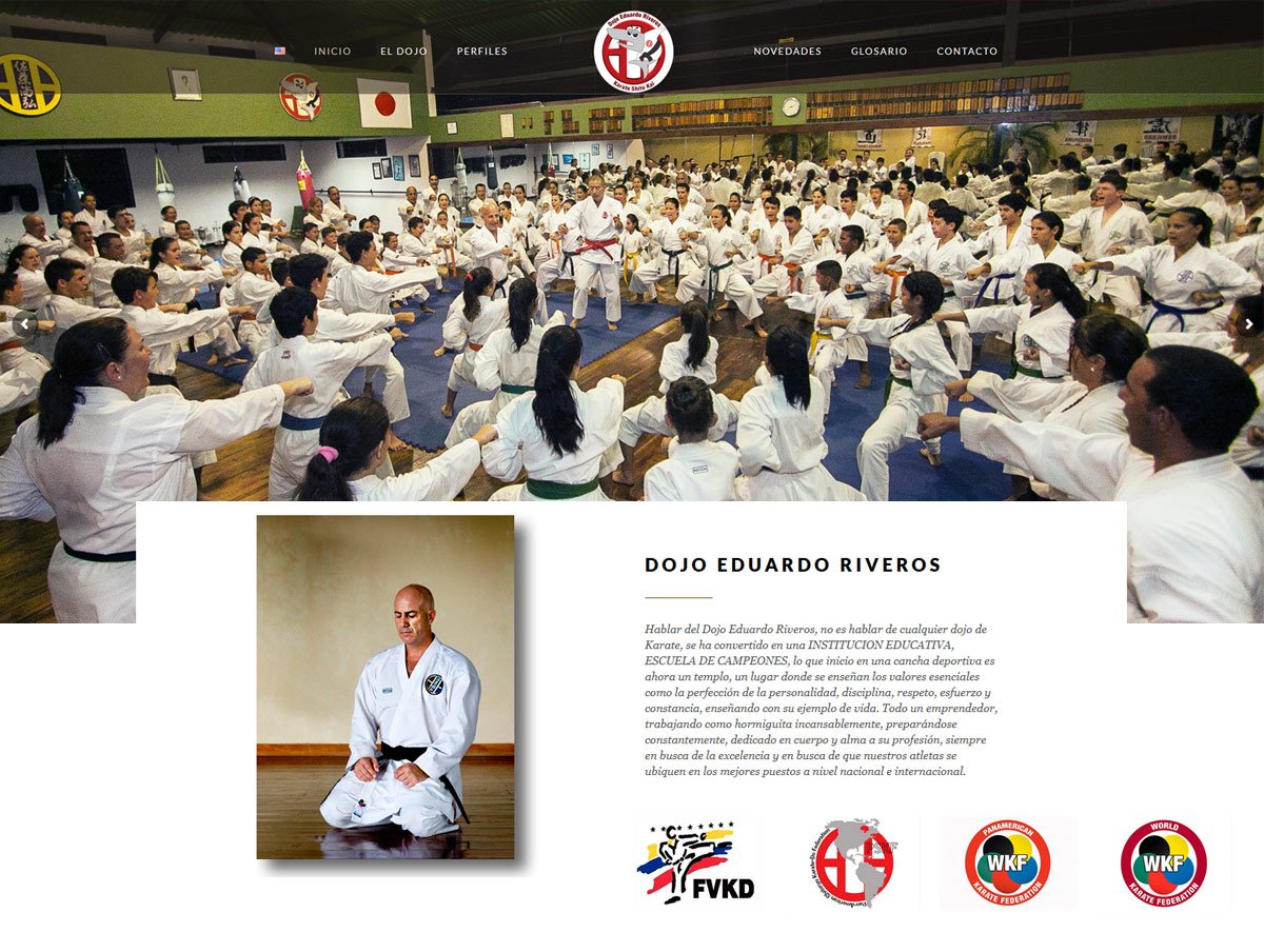 Diseño de Páginas web en Venezuela - Agencia web en Venezuela