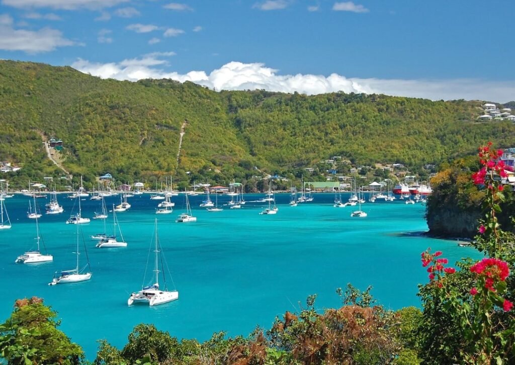 Las 10 Mejores Agencias Desarrollo de Aplicaciones Móviles en Vicente y las granadinas